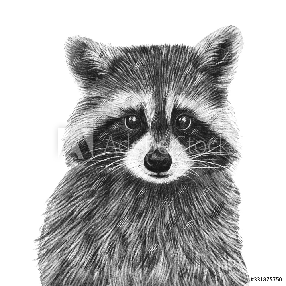 AdobeStock_331875750_Preview